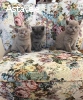Британские котята