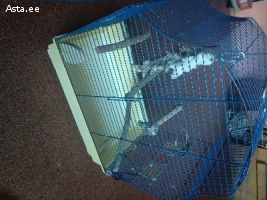 Клетка для птиц