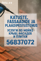 Профессиональная мойка крыш, фасадов, плитки