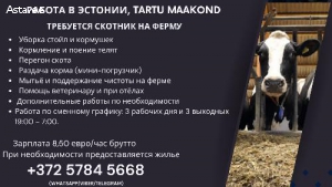 Скотник на ферму