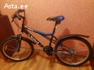 Top Gear Freedom 210 (75€ в отличном состоянии)