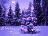 С Новым годом! Новый год 2025