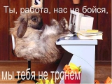 Прикольные открытки